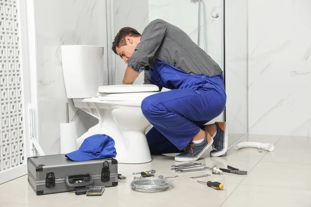 Toilet Installation in Makawao